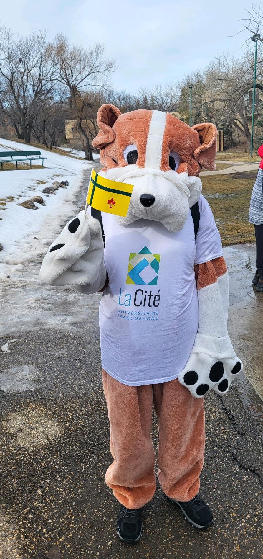 La Cite universitaire francophone, University of Regina